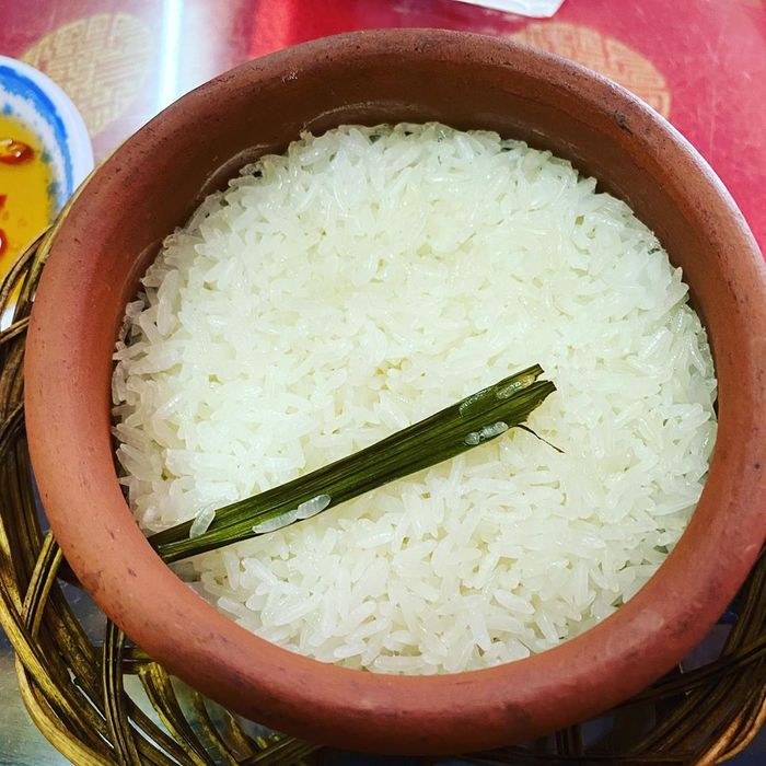 cơm nấu từ gạo Bắc Hương