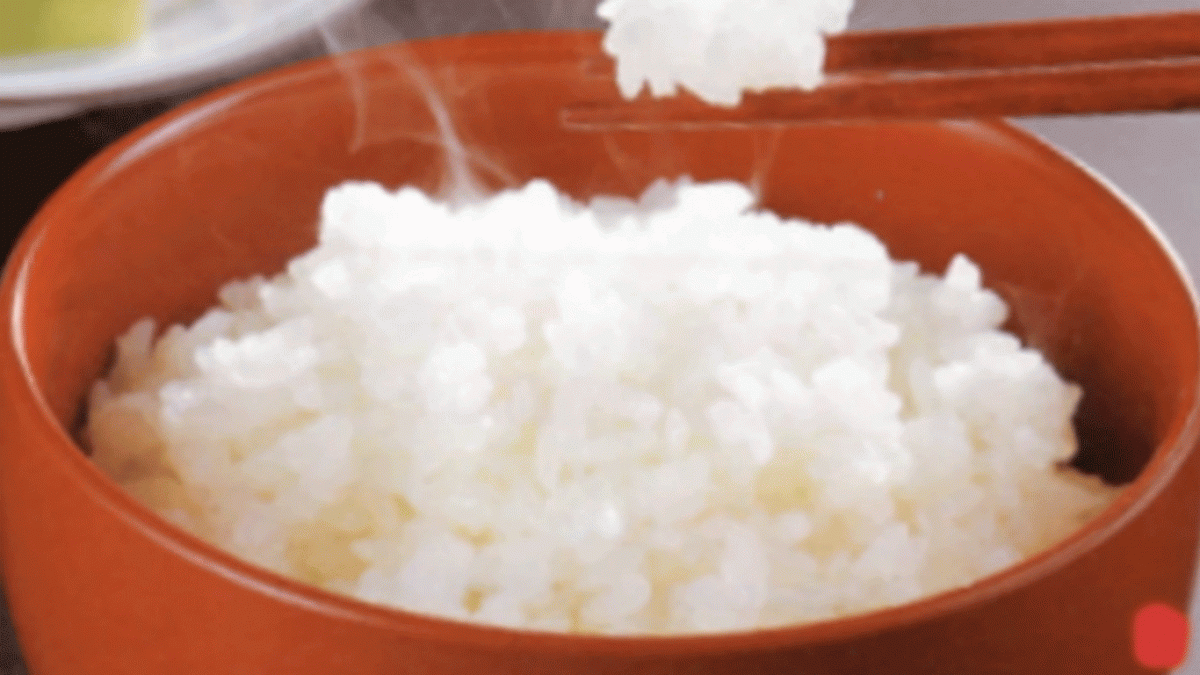 cơm ngon nấu từ Gạo Lài Sữa