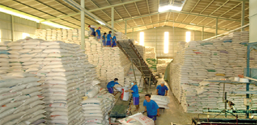 Gạo Campuchia nhập khẩu